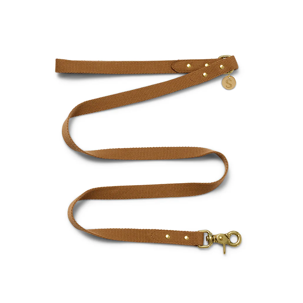 New Leads